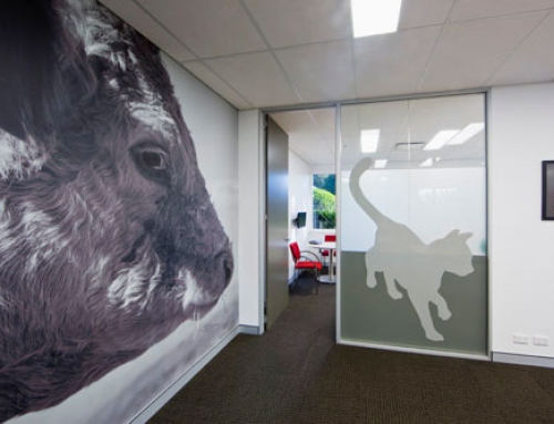 Virbac Office