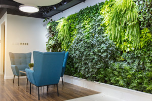 Green wall within office.