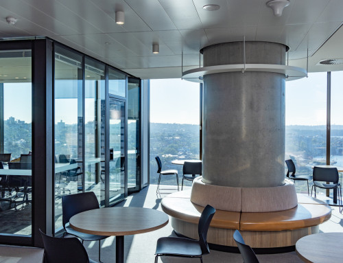 Office Design Trends for 2025: What Tenants Are Building Now