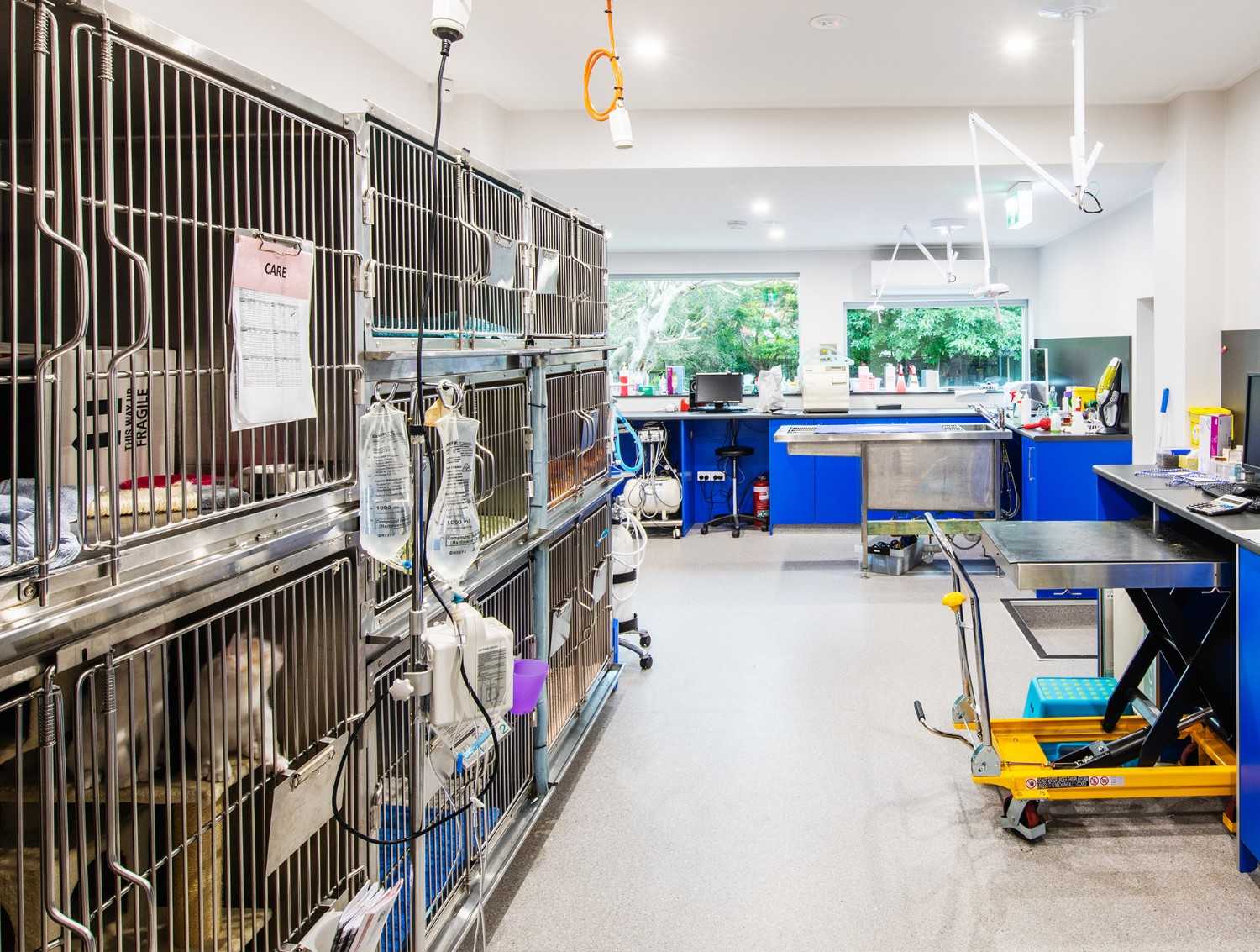 deewhyvet Veterinary fitout project by SB Projects