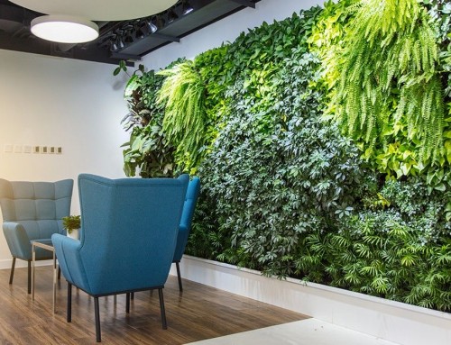 Benefits of Office Plants for Workplace Wellbeing and Productivity